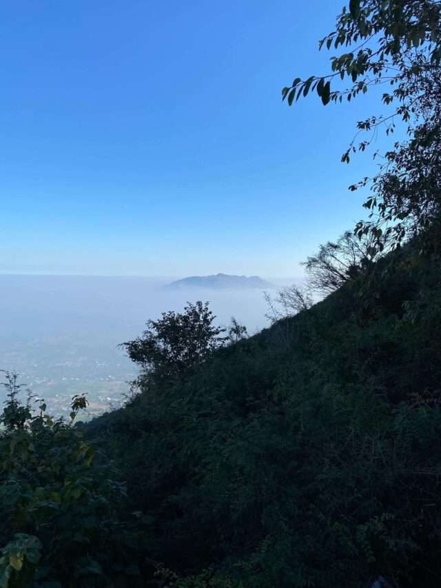 Yelagiri Hills